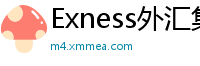 Exness外汇集团-全球外汇交易平台-Exness外汇官网