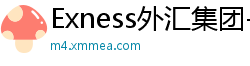 Exness外汇集团-全球外汇交易平台-Exness外汇官网
